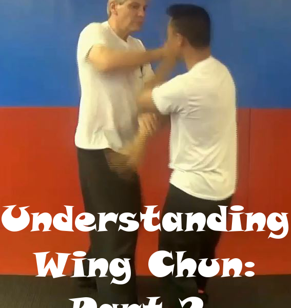 Understanding Wing Chun Part 2 VIA Yu’s Martial Arts Essential